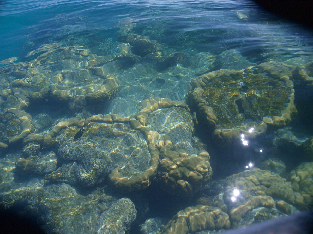 At the Gulf of Mannar 